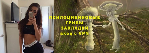 ПСИЛОЦИБИНОВЫЕ ГРИБЫ Абдулино