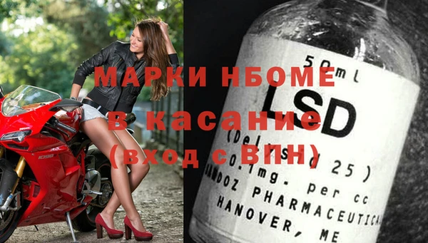стаф Ельня