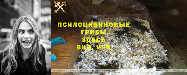 хмурый Елизово