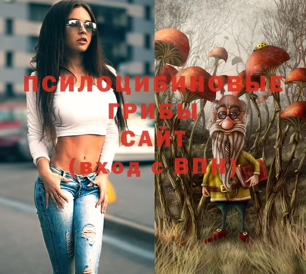 ПСИЛОЦИБИНОВЫЕ ГРИБЫ Абдулино