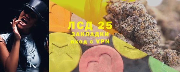 ПСИЛОЦИБИНОВЫЕ ГРИБЫ Абдулино