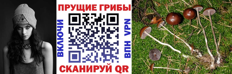 Галлюциногенные грибы GOLDEN TEACHER  Тарко-Сале 